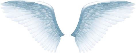 pngwing free download.